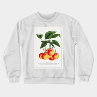 Gov Wood Cherry Lithograph (1900) Crewneck Sweatshirt